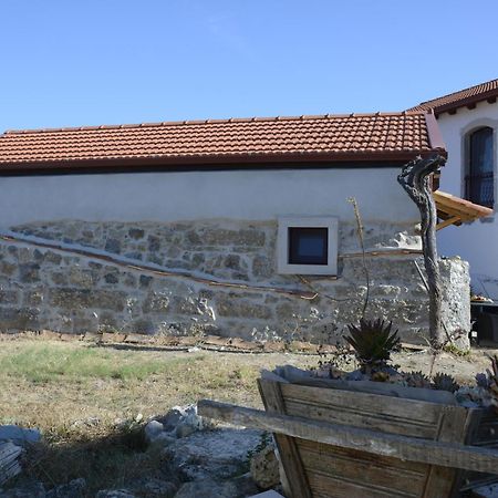 Casa Da Lima - Nestled In Nature On Santiago'S And Fatima'S Path, Close To Coimbra And Rabacal Alvorge Екстер'єр фото