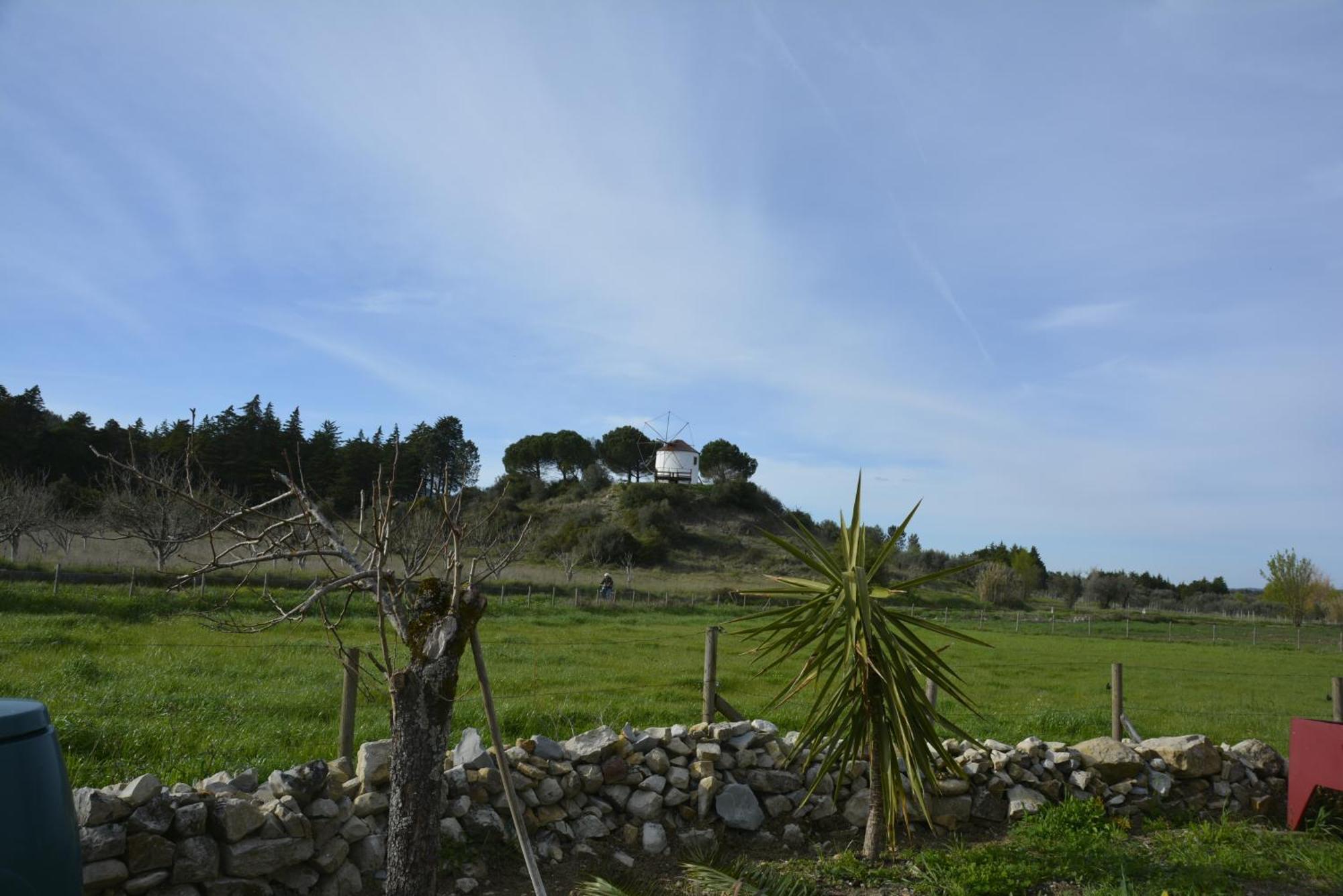Casa Da Lima - Nestled In Nature On Santiago'S And Fatima'S Path, Close To Coimbra And Rabacal Alvorge Екстер'єр фото