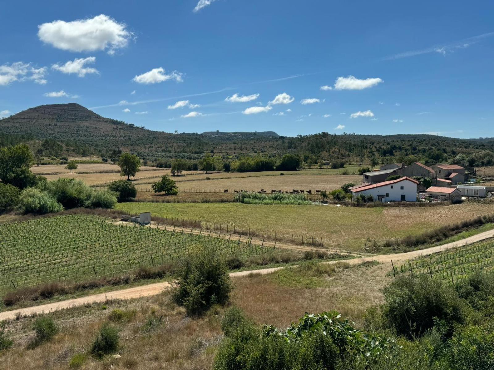 Casa Da Lima - Nestled In Nature On Santiago'S And Fatima'S Path, Close To Coimbra And Rabacal Alvorge Екстер'єр фото