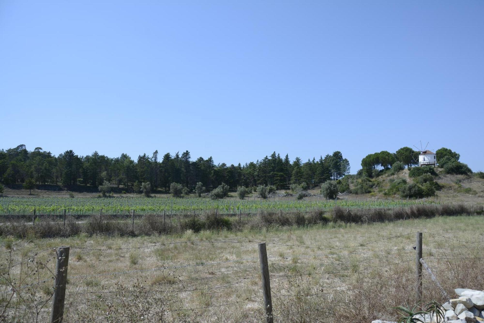 Casa Da Lima - Nestled In Nature On Santiago'S And Fatima'S Path, Close To Coimbra And Rabacal Alvorge Екстер'єр фото