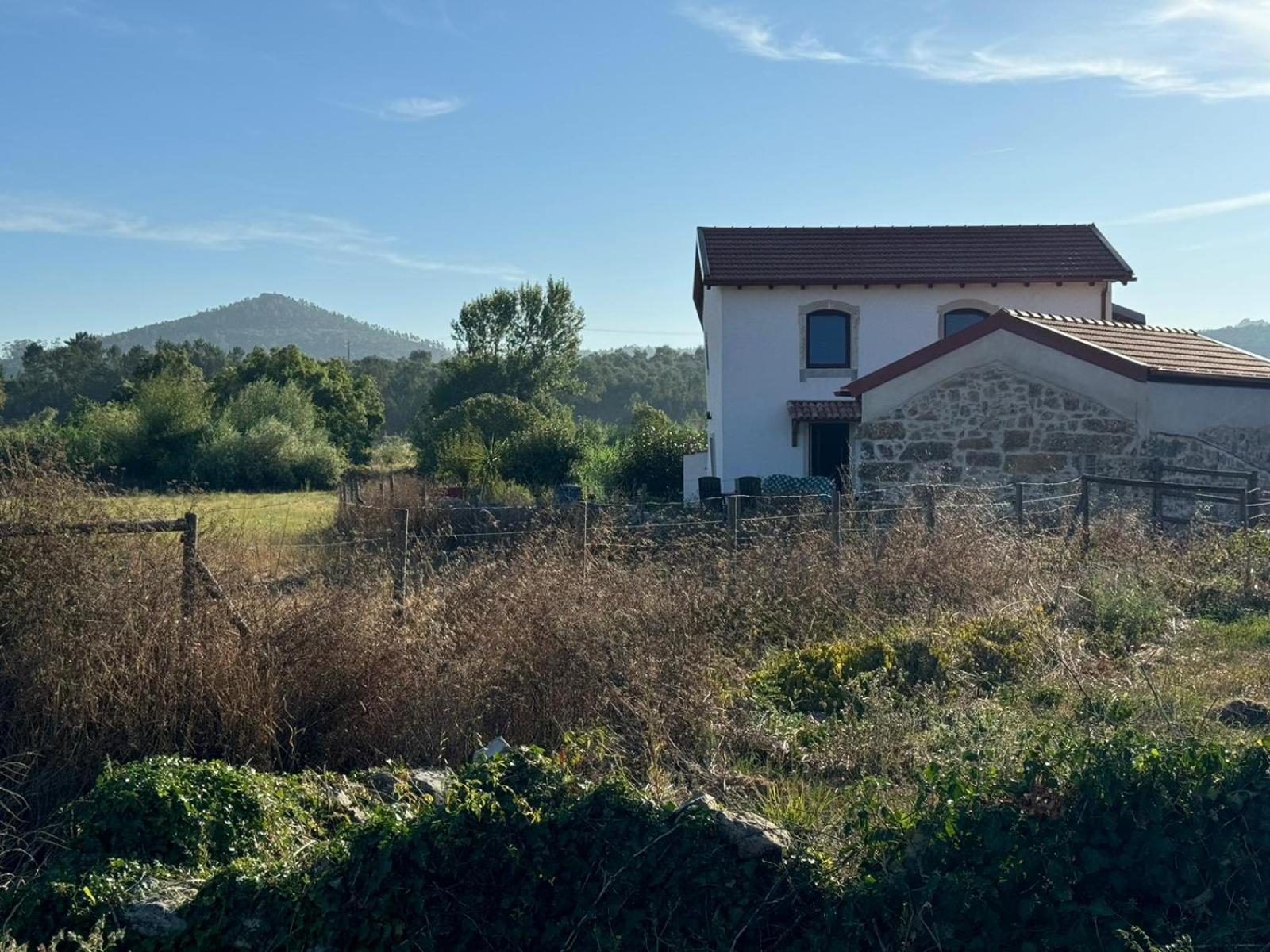 Casa Da Lima - Nestled In Nature On Santiago'S And Fatima'S Path, Close To Coimbra And Rabacal Alvorge Екстер'єр фото