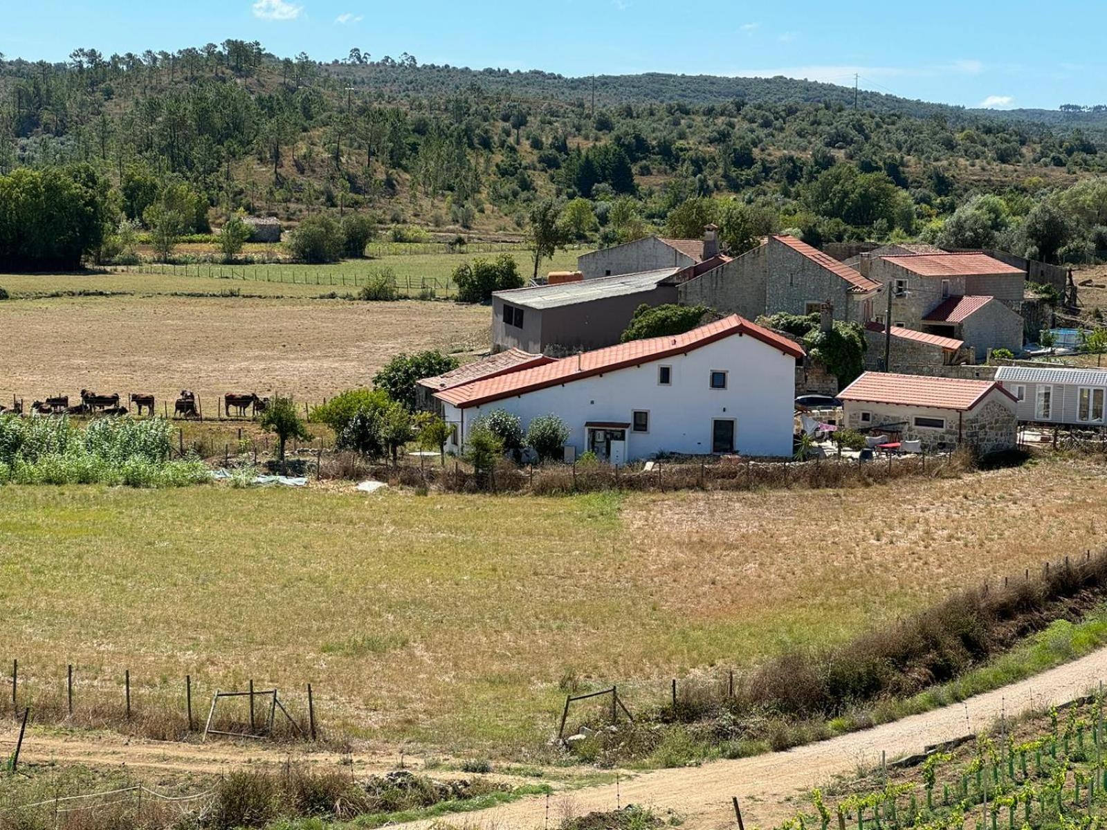 Casa Da Lima - Nestled In Nature On Santiago'S And Fatima'S Path, Close To Coimbra And Rabacal Alvorge Екстер'єр фото