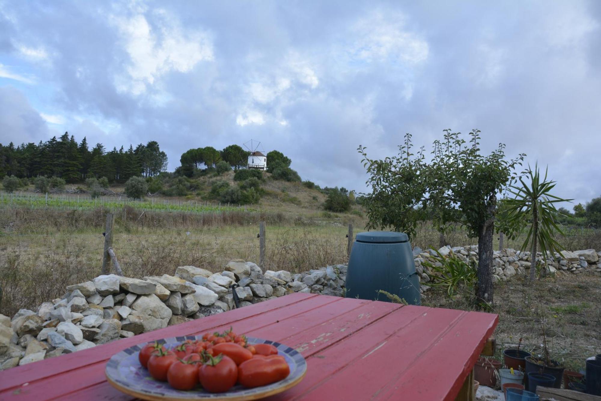 Casa Da Lima - Nestled In Nature On Santiago'S And Fatima'S Path, Close To Coimbra And Rabacal Alvorge Екстер'єр фото