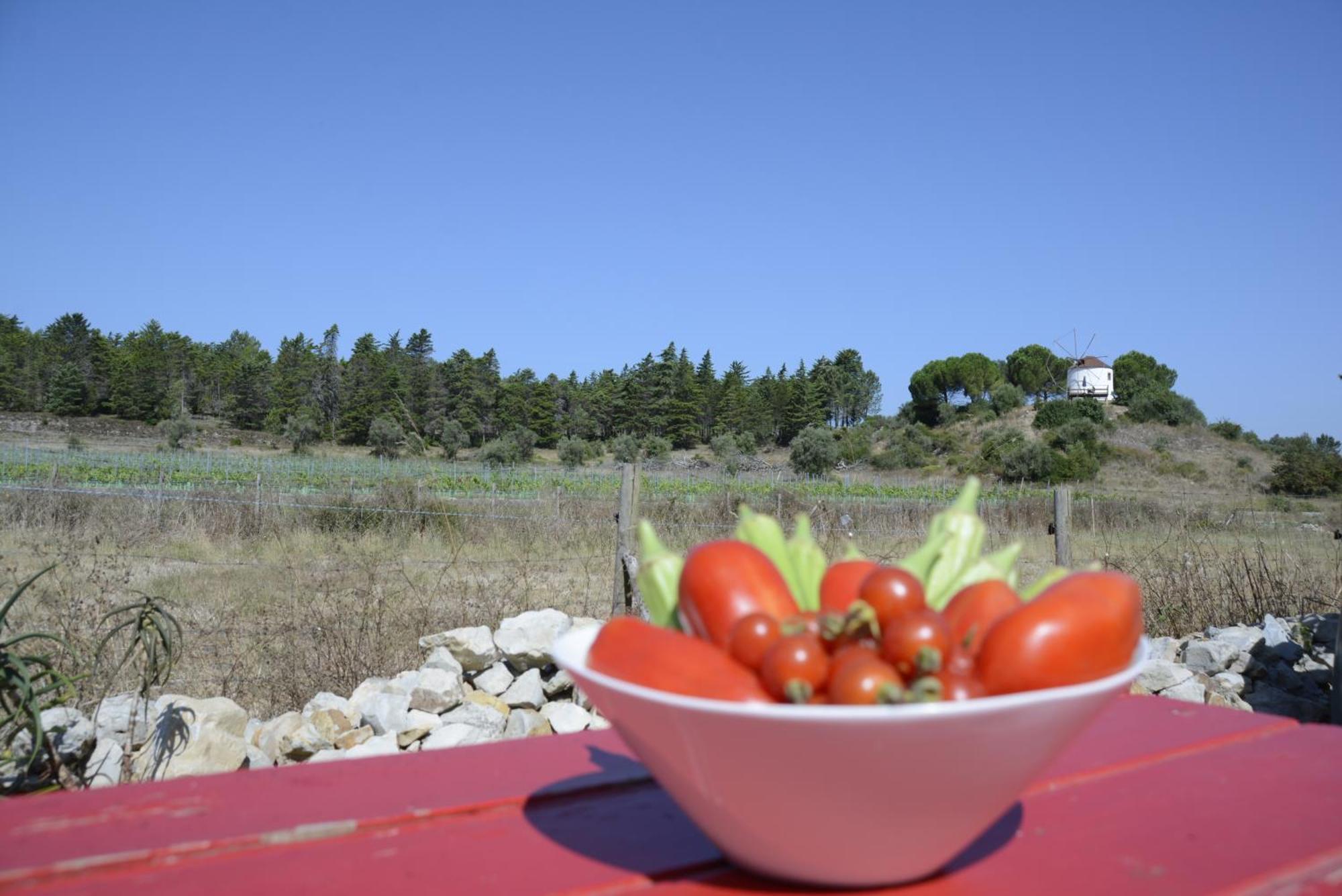 Casa Da Lima - Nestled In Nature On Santiago'S And Fatima'S Path, Close To Coimbra And Rabacal Alvorge Екстер'єр фото