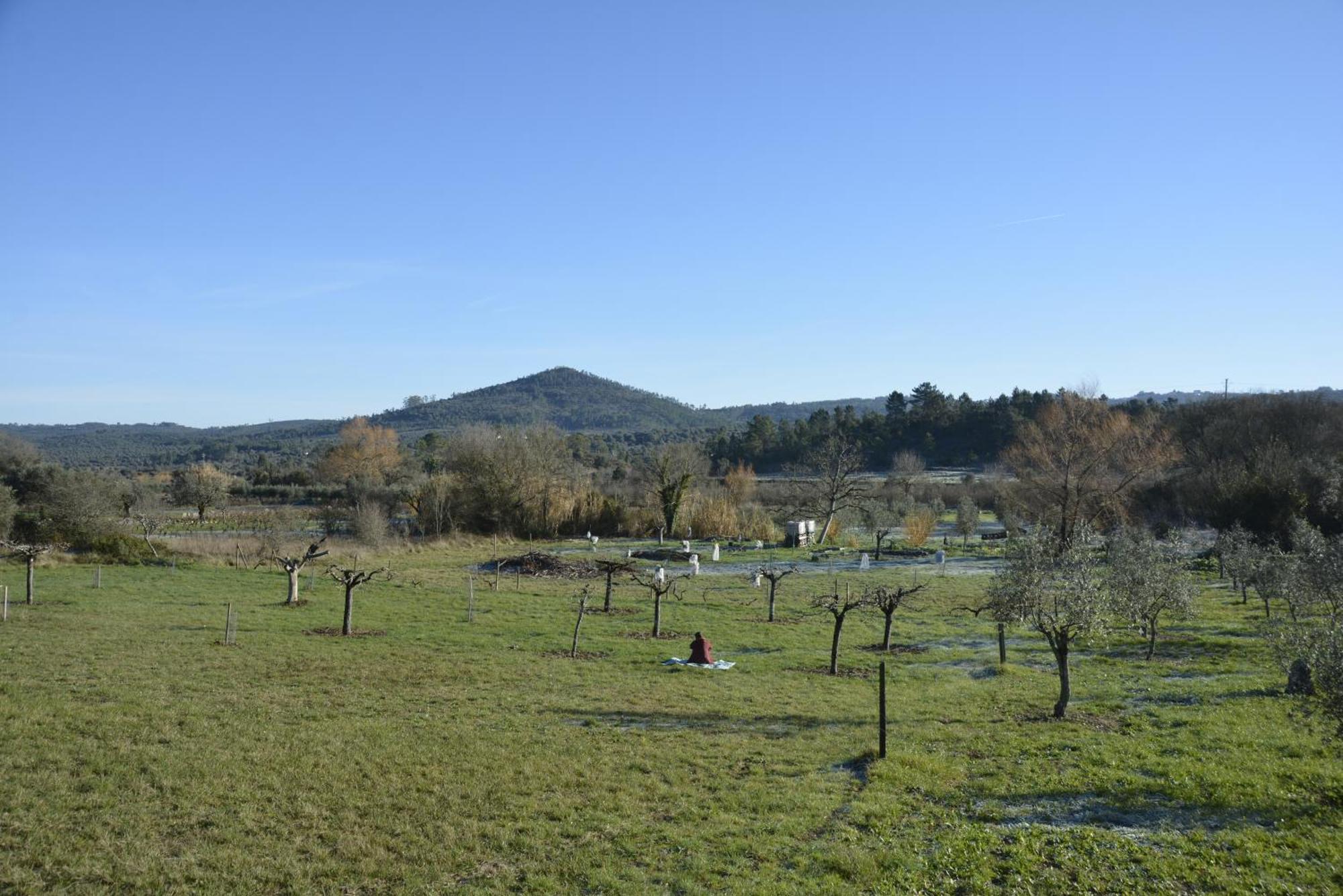 Casa Da Lima - Nestled In Nature On Santiago'S And Fatima'S Path, Close To Coimbra And Rabacal Alvorge Екстер'єр фото